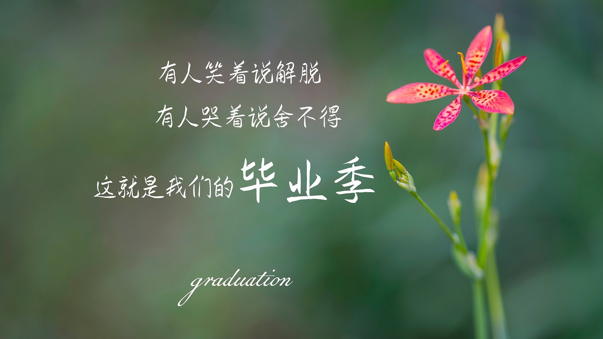 拓展思维后的备选标题