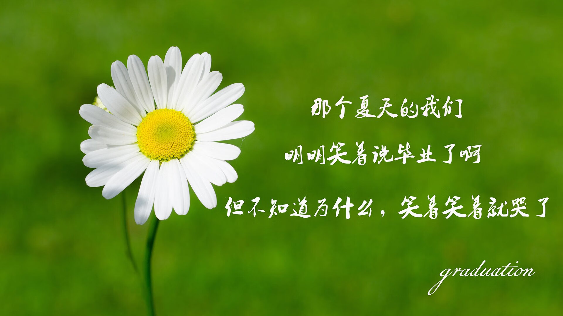 致命弧线—2026世界杯E组，罗德里戈的灵光一现，刺穿了巴格达的钢铁防线